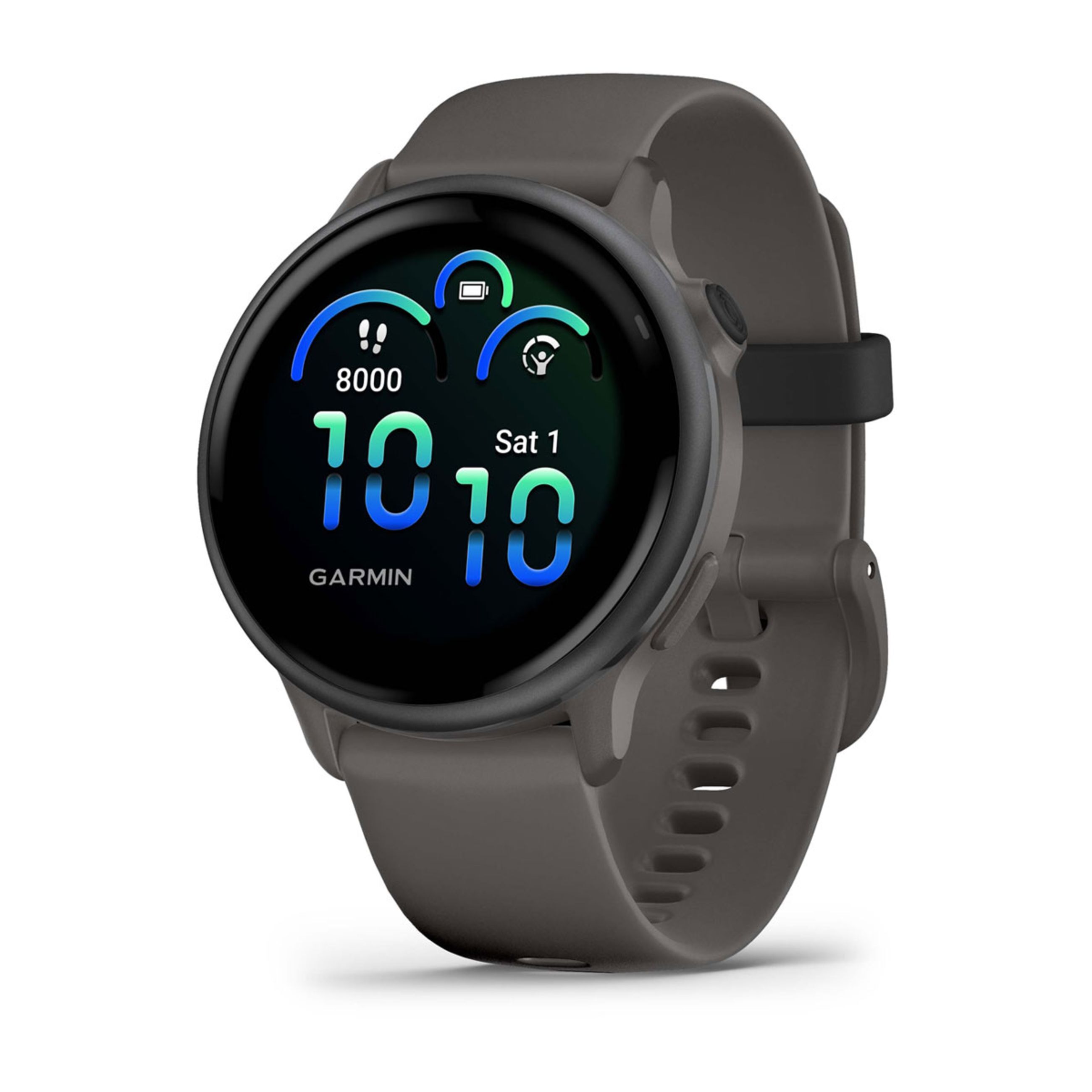 VíVoactive 6 - Slate With Pebble Gray Band